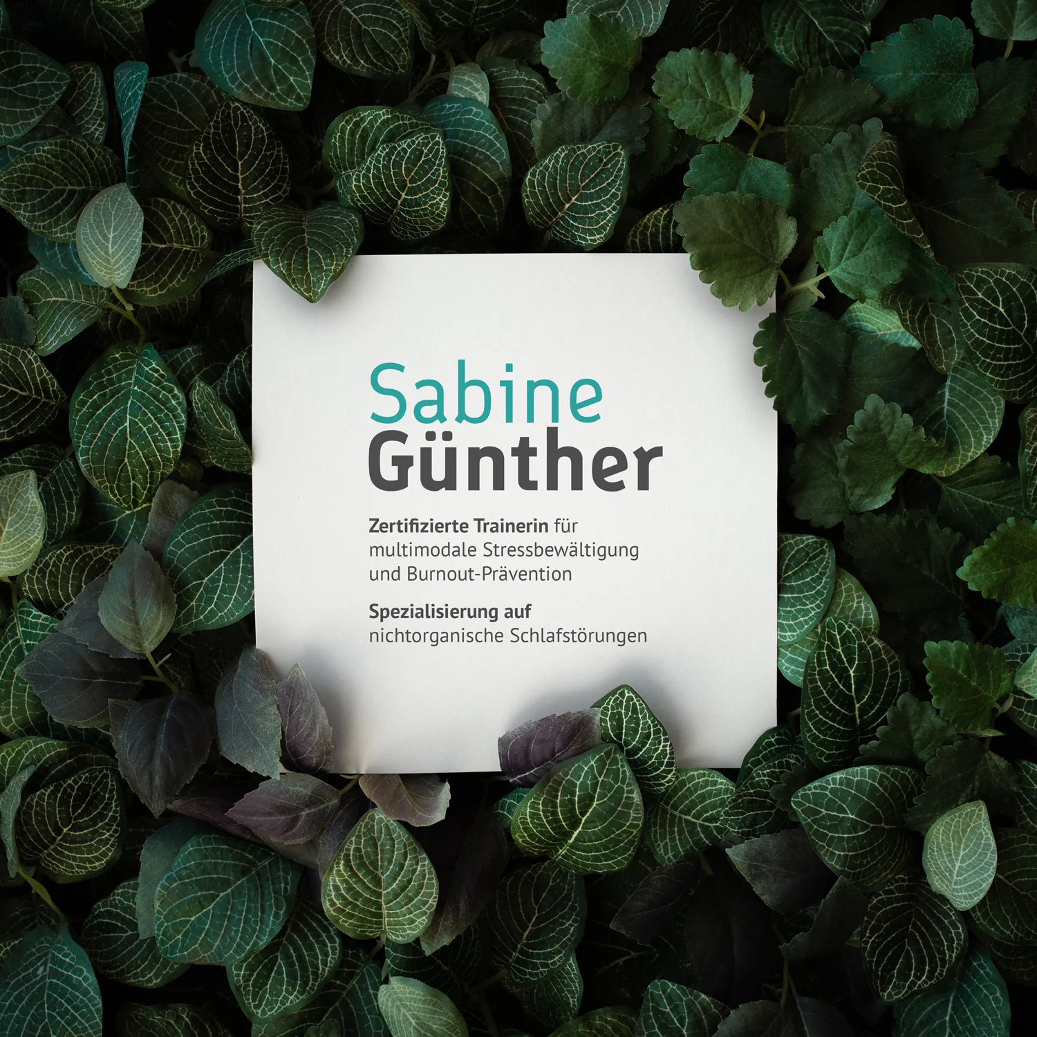 Branding Corporate Design und Webdesign für Psychotherapeutin Sabine Günther aus Bamberg von Designstudio Carnarius