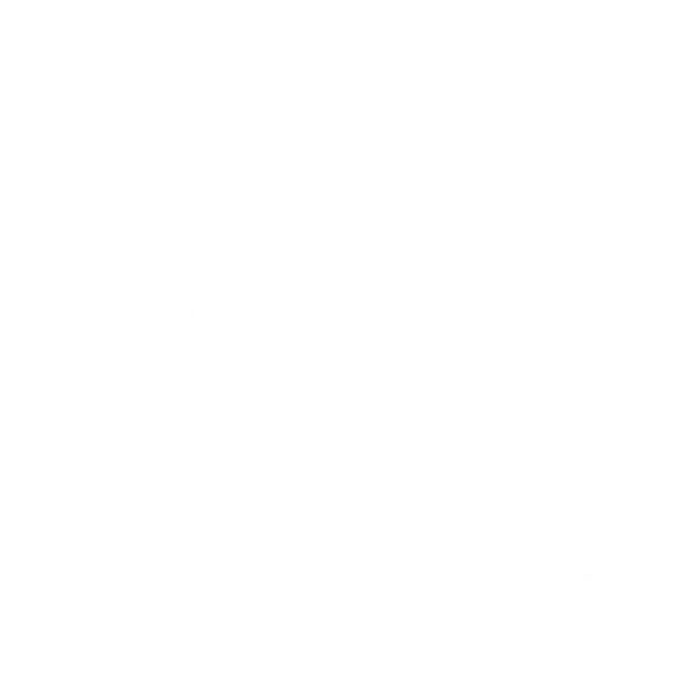 speziell entwickeltes Icon-Set für Whitelisthackers besticht durch seine Einfachheit und Klarheit.