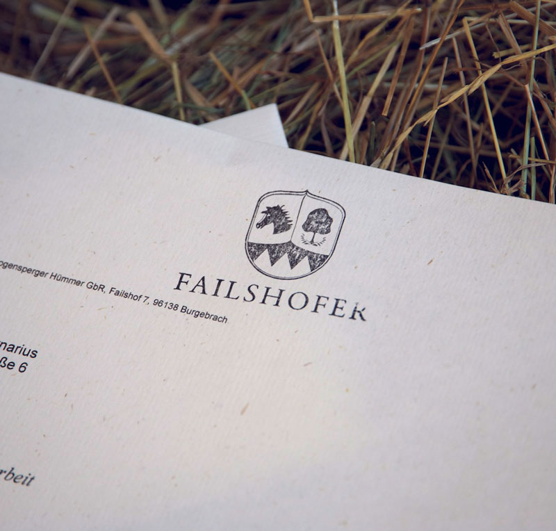 Logo und Briefpapier Pferdegestüt