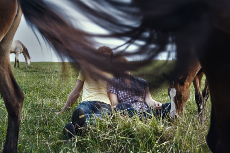 Businessportraits Pferdegestüt