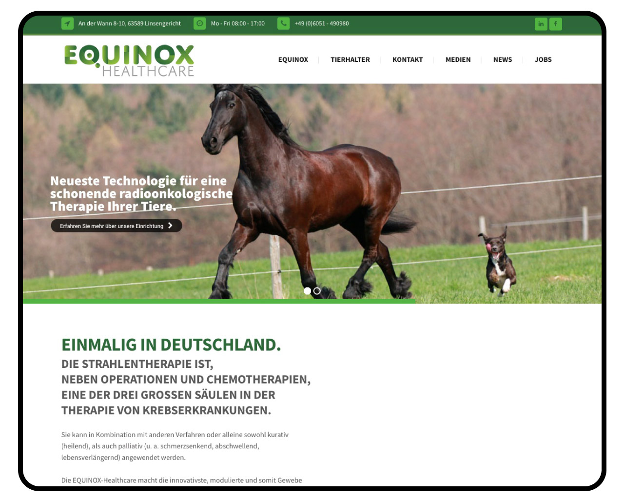 Webdesign Equinox Healthcare